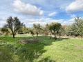 Venta de Parcela en Fuentidueña de Tajo