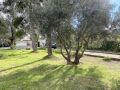 Venta de Parcela en Fuentidueña de Tajo