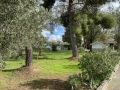 Venta de Parcela en Fuentidueña de Tajo