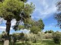 Venta de Parcela en Fuentidueña de Tajo