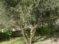 Venta de Parcela en Fuentidueña de Tajo