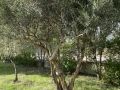 Venta de Parcela en Fuentidueña de Tajo