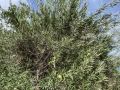Venta de Parcela en Fuentidueña de Tajo