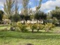 Venta de Parcela en Fuentidueña de Tajo