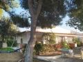 Venta de Parcela en Fuentidueña de Tajo