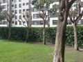 Venta de Piso en Adelfas