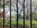 Venta de Piso en Adelfas
