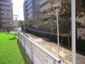Venta de Piso en Rivas Vaciamadrid