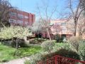Venta de Piso en Rivas Vaciamadrid