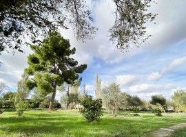Venta de Parcela en Fuentidueña de Tajo