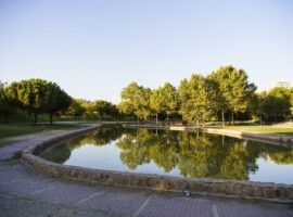 Venta de Piso en Madrid